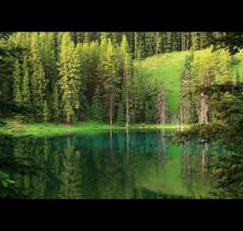 in the mood for green.jpg